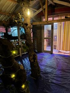 The cozyden Jibhi