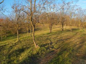Holiday Home Müllers Ferienhaus Weinbergalm zum Wohlfühlen by Interhome