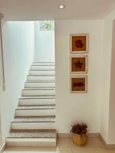 Casa na Ferradura com Piscina Privativa