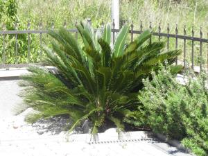 Apartment Studio im Erdgeschoss für zwei Personen mit einer Terrasse by Interhome