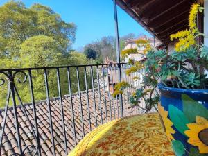 Apartment Girasoli by Interhome img10