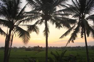 Uma Capung Mas Cottage