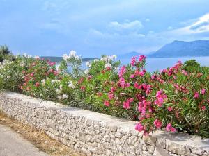 Apartment Apartments Villa Gracin by Interhome