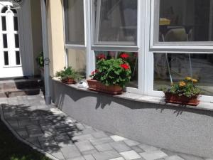 Apartment in Bük im Parterre mit Garten by Interhome