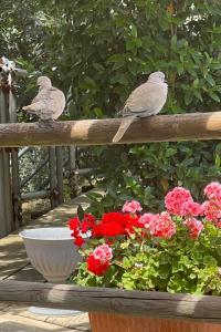 Apartment Bauernhauswohnung mit großer Terrasse by Interhome