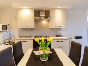 Apartment Einzimmerwohnung mit Terrasse und Blick auf den Berg by Interhome