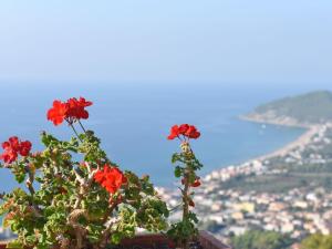 Apartment Villa Felice 3 by Interhome