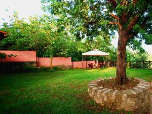 Holiday Home Villa Der Kirschbaum by Interhome