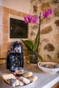 Apartment Villetta Armaiolo by Interhome