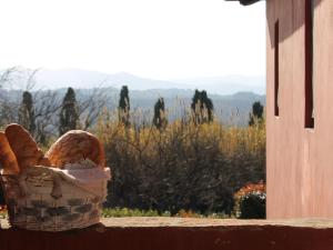Apartment Rustikale Wohnung mit Swimmingpool in den Hügeln der Toskana by Interhome