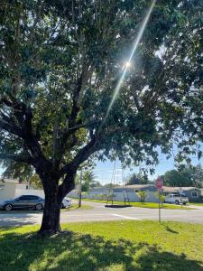 Comfort Apartment Miramar