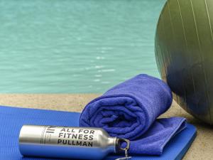 Pullman Santiago Vitacura