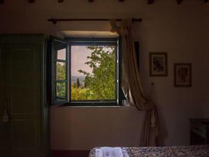 Apartment Rustikale Wohnung mit Swimmingpool in den Hügeln der Toskana by Interhome