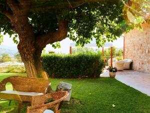 Apartment LandHausFelicia - Tulipano by Interhome