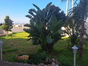 Apartment Casetta 45 by Interhome