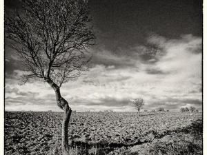 Apartment Il Melograno Panoramahaus by Interhome