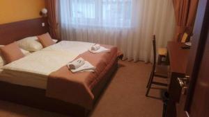 Standard Double Room room in Penzión Begálka