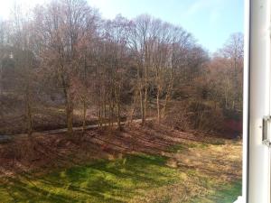 LOKET- LIKE AT HOME - park, castle, amphitheater, Karlovy Vary