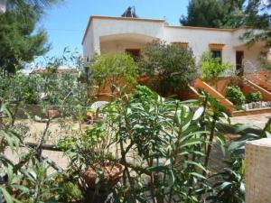 Apartment Wohnung in Vieste mit privatem Garten by Interhome