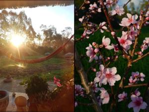 Holiday Home Su Sole de Barega by Interhome img18