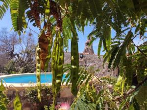 Holiday Home Villa Barone Landhaus mit Pool by Interhome