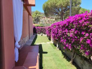 Apartment Trilo Luna by Interhome