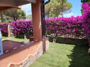 Apartment Trilo Luna by Interhome