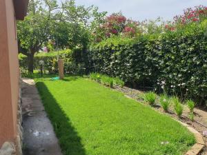 Apartment trilo Mulbery mit großem Garten by Interhome