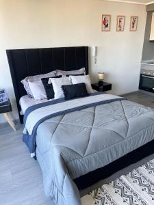 Departamentos a pasos del Movistar Arena y Parque OHiggins