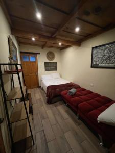 Habitación en casa de Osos