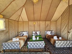 Chams Luxury Camp