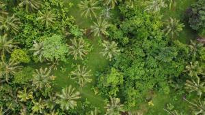 Meera house and stay