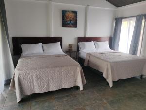 Pejivalle Lodge paz y naturaleza en un solo lugar