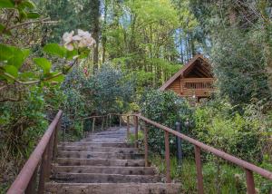 Bulworthy Forest Lodges