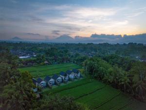 Ascarya Ubud
