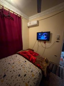 عشة مفرشه برأس البر