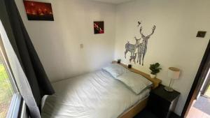 Chalet Vuurvlieg - In Bosrijke Omgeving In Drenthe