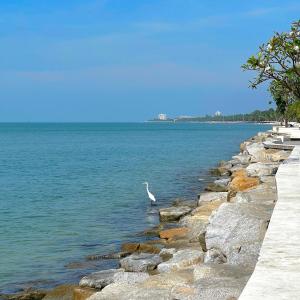 Swan Private Pool Villa Bangsaen