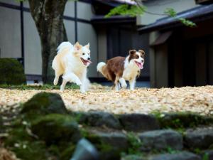 愛犬と泊まれる古民家リトリート 赤城山 - 懐 -