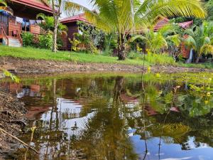 The Hidden Oasis Bungalows