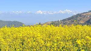 Gauri Shankar Hotel Nagarkot