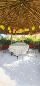 IRWINA PUSHKAR- Traditional Outside, Comfortable Inside