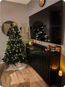 Apartment Sanctus Nicolaus with sauna