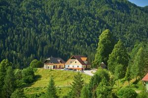 Tourist farm Gradišnik