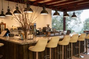 The Legend of Dragon Tea Suoi Giang