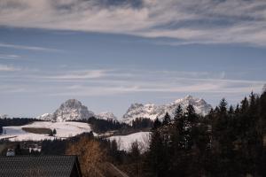 Alpenblick Gösweiner