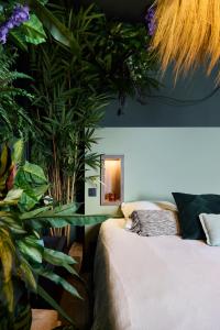 Love Room Évasion tropicale à deux pas du centre