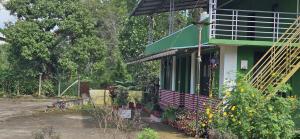 Coffee land