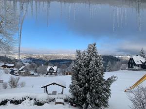 Rennsteig-Pension Trautwein