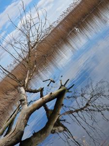 Ferienhaus Köhler am Walde, Urlaub mit Hund, Lütow